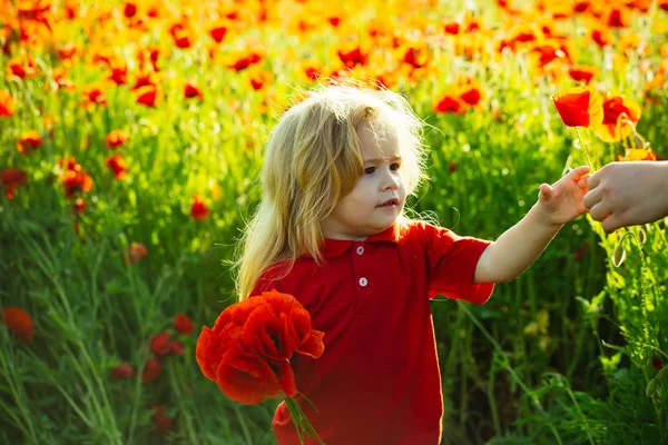 çocuk veya haşhaş tohumu alanındaki küçük çocuk