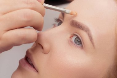 Kadın yüz fırça ile Tarih Vakfı krem almak