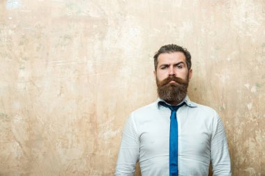 hipster veya ciddi bir yüz üzerinde uzun sakallı sakallı adam
