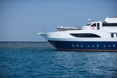 Gemi liner güzel büyük beyaz deniz nakliye denizde yelken