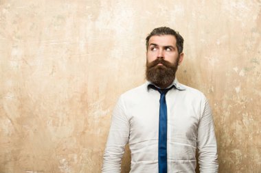 sakallı adam veya hipster ciddi bir yüz ile uzun sakal