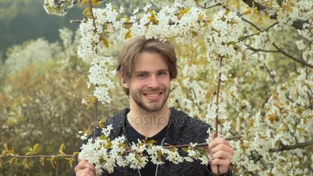 開花枝のフレームに魅力的な若い男。自然にひげを生やした面白い幸せな男は、フレームの肖像画で再生されます。ばねの花盛りの笑顔で春の庭の桜、陽気な男 — ストック動画
