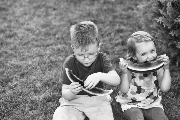 잔디에 수 박 먹는 아이 들 — 스톡 사진