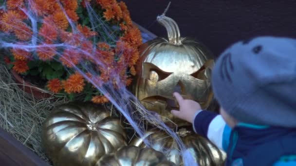 Çocuk Cadılar Bayramı Balkabağı. Bebek kabak canavar şeklinde Kasım ayında sonbahar tatil için dokunur. Çocuklar için parti. Halloween süslemeleri tatil için. Altın kabak ve çocuk. Mevsimlik eğlenceli eğlence — Stok video