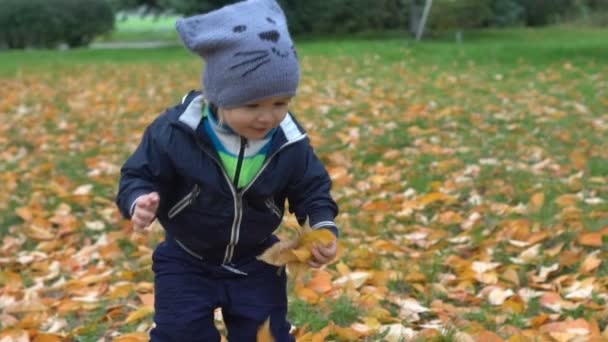 Jogo, outono folhas de outono. Bonito bebê bonito brincando com folhas. Jogos infantis na floresta ao ar livre. Criança gato desfrutando de uma caminhada de outono — Vídeo de Stock