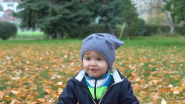 Herfst familiepark, gele bladeren in het bos, het kind wordt gespeeld met de bladeren samen met zijn moeder, een gelukkige jeugd voor de peuter jongen. Wandelen in het park in September of oktober — Stockvideo