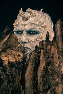 Ağaç ruhu ve fantezi kavramı