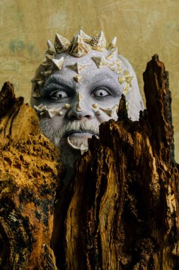 Druid eski kabuğu bej duvar arkasında