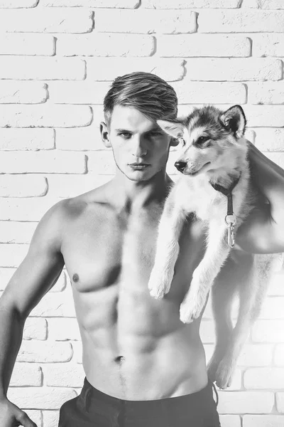 Adam seksi vücut, husky köpek, köpek evcil hayvan ile — Stok fotoğraf