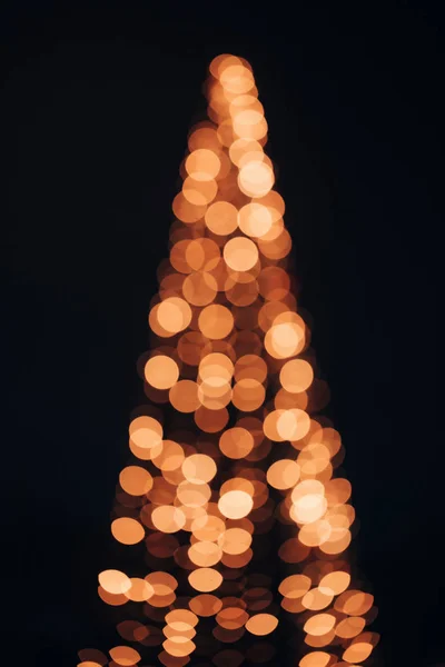 Sílhueta de árvore com luzes douradas — Fotografia de Stock