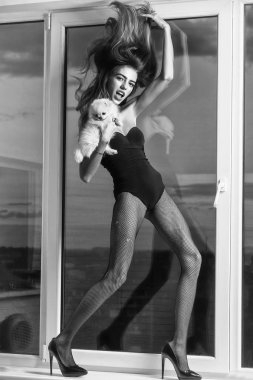 kadın ile köpek pencere