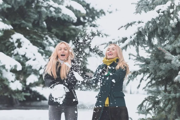 Glückliche Schwestern spielen Schneebälle im Wald an einem Wintertag — Stockfoto