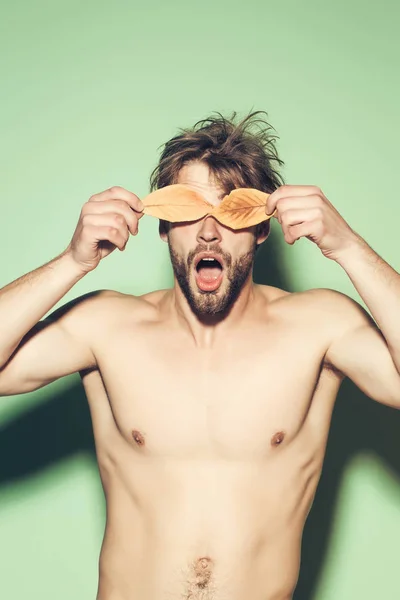 Chico con hojas naranjas sobre fondo verde . — Foto de Stock