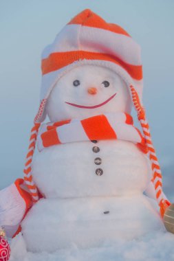 Kardan adam ile şapka ve atkı