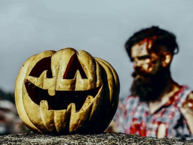 Cadılar Bayramı Balkabağı veya jack o fener güneşli