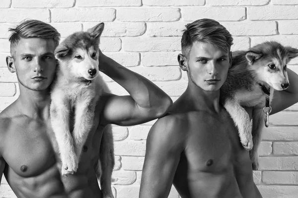 Husky köpekleri ile İkizler — Stok fotoğraf