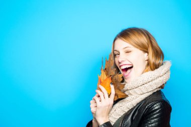 Sezon ve sonbahar tatil.