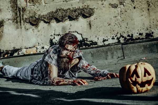 Cadılar Bayramı adam kabak için tarama