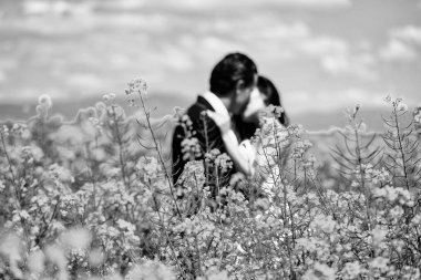 Düğün iki bulanık alan içinde