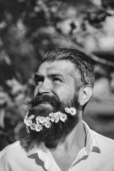 Bell'uomo con fiori in barba — Foto Stock