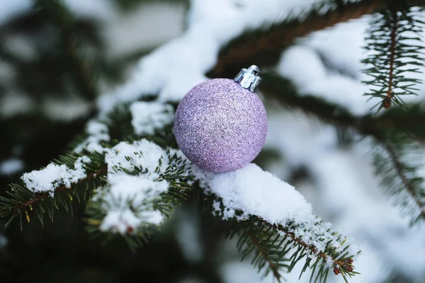 Kerstbal op dennenboom — Stockfoto