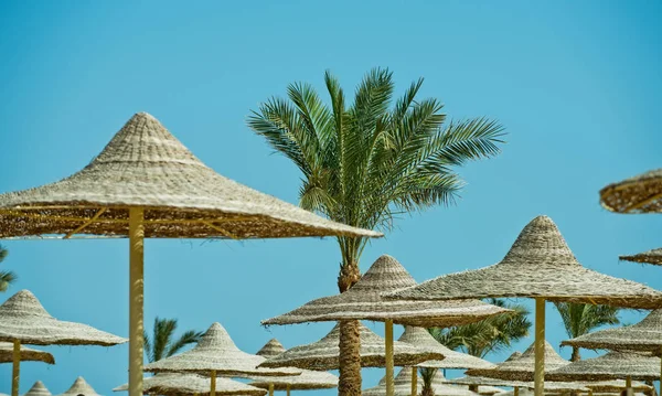 Güneşli blue sky resort adlı.