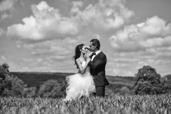 Casamento casal na grama verde e céu azul — Fotografia de Stock