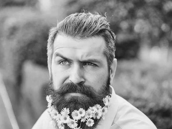 Schöner Mann mit Blumen im Bart — Stockfoto