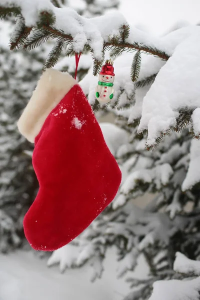 Noel çorap ve karlı zemin üzerine çam ağacı süsleme