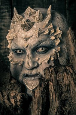 Druid arkasında siyah arka plan üzerine eski kabuğu