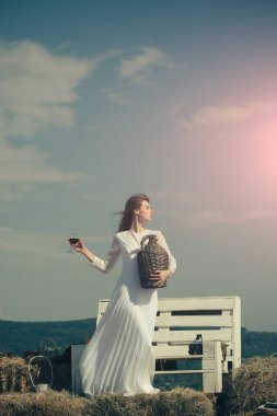 Yaz tatili, tatil ve kutlama