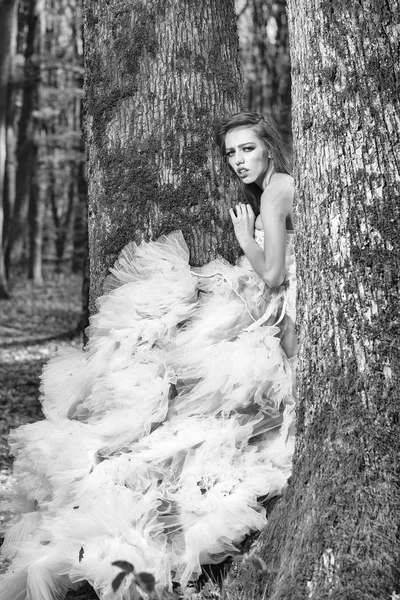 tree yakınındaki güzel kız