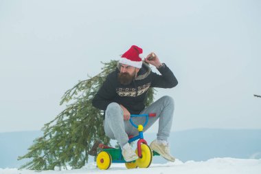 Tatil kutlama kavramı