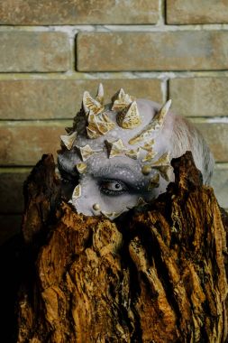 Ağaç ruhu ve fantezi kavramı