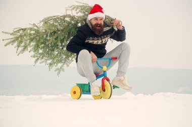 Tatil kutlama kavramı