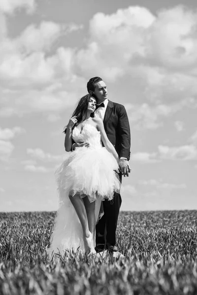 Matrimonio coppia su erba verde e cielo blu — Foto Stock