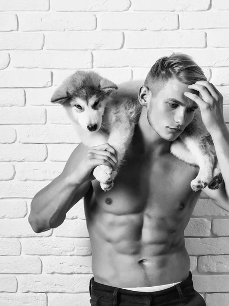 Adam seksi vücut, husky köpek, köpek evcil hayvan ile — Stok fotoğraf