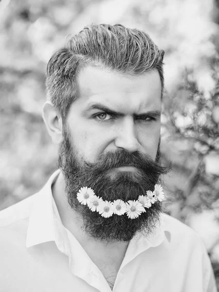 Homem bonito com flores na barba — Fotografia de Stock