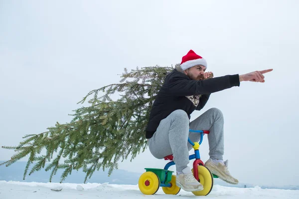 Hipster che trasporta l'albero di Natale sulla neve bianca — Foto Stock