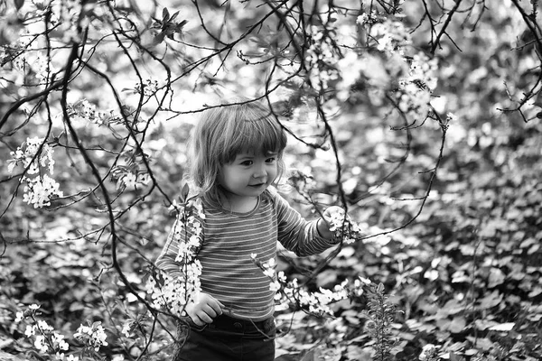 Liten pojke med blossom — Stockfoto