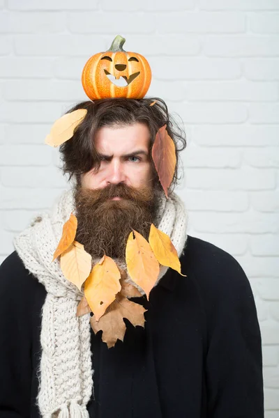 Cadılar Bayramı adam baş tuğla duvar üzerinde kabak holding