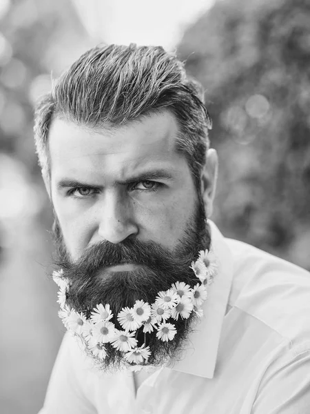 Homem bonito com flores na barba — Fotografia de Stock