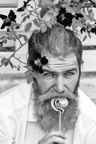 Uomo barbuto con barba blu e lecca-lecca — Foto Stock