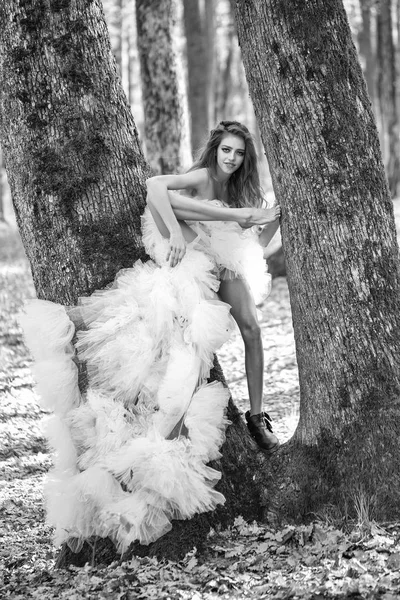 Glamour kvinna nära träd — Stockfoto