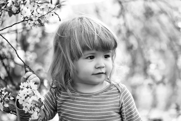 Mały chłopiec z kwitnąć — Zdjęcie stockowe