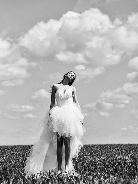 Bonita chica de la boda en hierba verde y el cielo — Foto de Stock