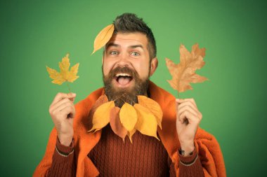 Berber ve Kuaför, yaprakları sakal.