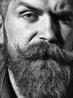 ciddi sakallı adam hipster