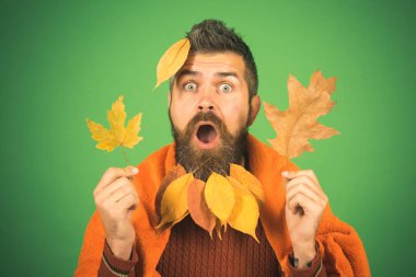 Berber ve Kuaför, yaprakları sakal.