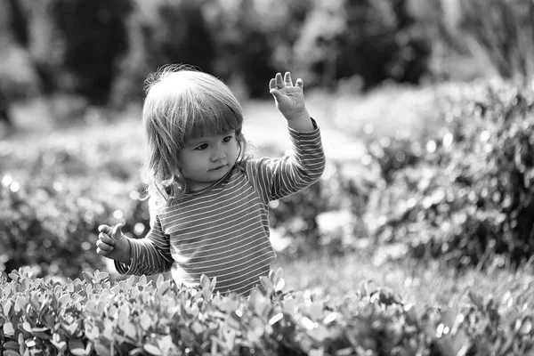 小さな男の子の屋外 — ストック写真